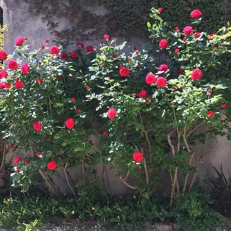 Maison Individuelle Dans Ancienne Ecurie Semesterbostad *