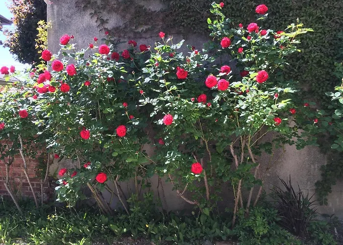 Maison Individuelle Dans Ancienne Ecurie 度假居 *